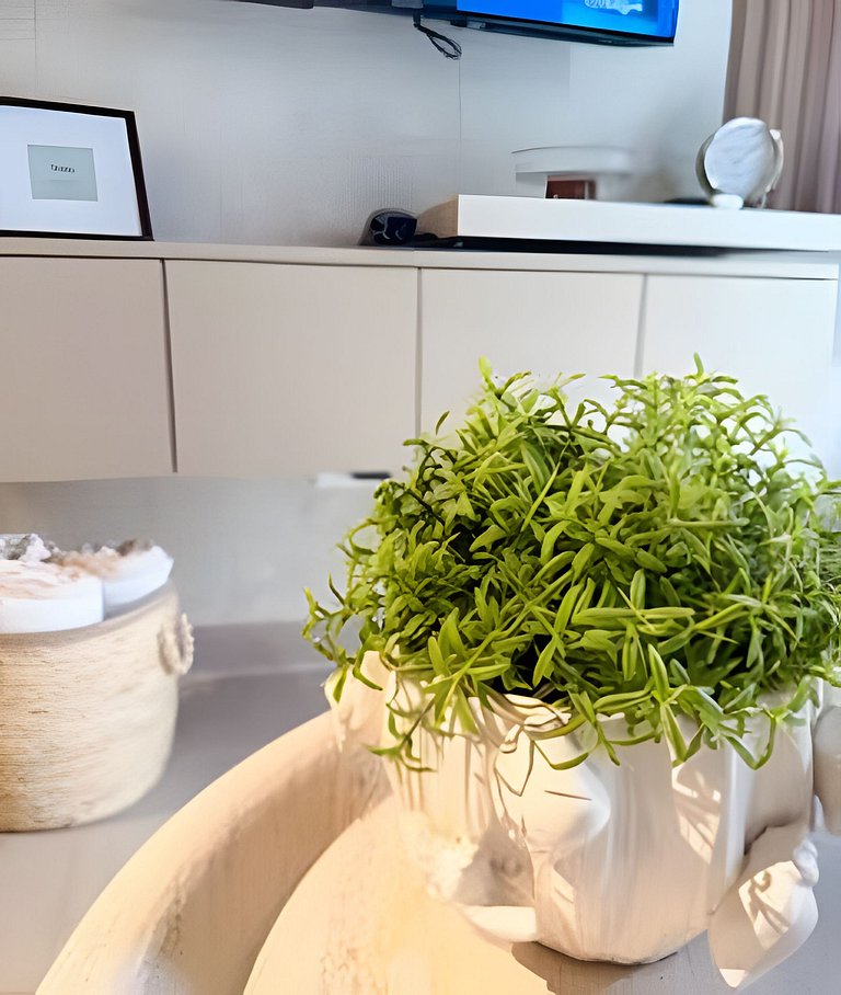 Escapada perfecta al paraíso de Punta Cana